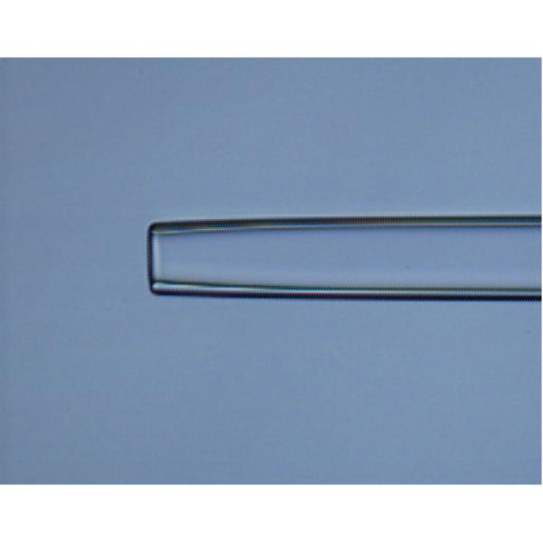 Trophectoderm Biopsy Pipette 