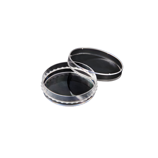 Đĩa 60mm, Đĩa Đồng Tâm